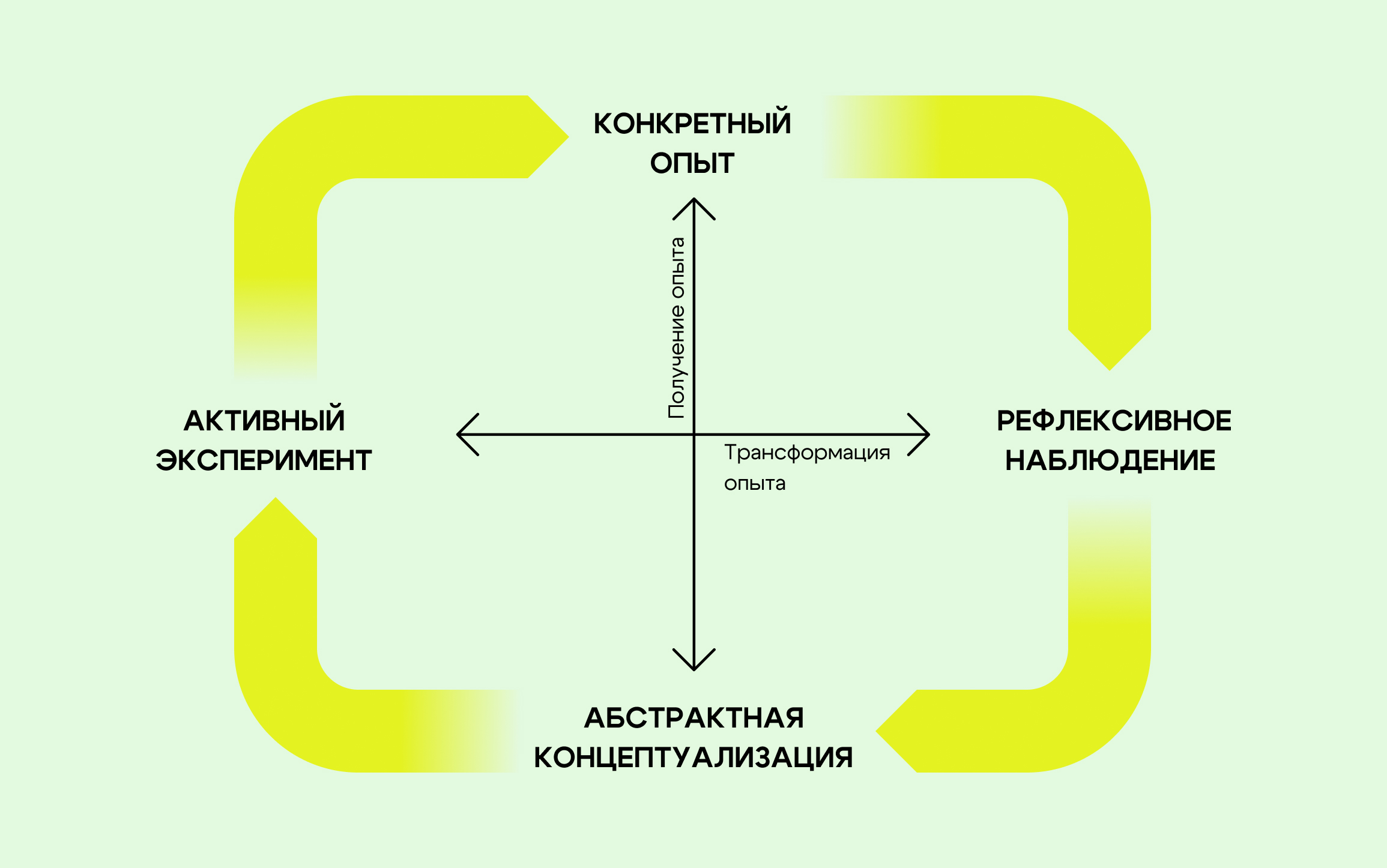 В процессе эмпирического обучения сотрудник проходит четыре этапа