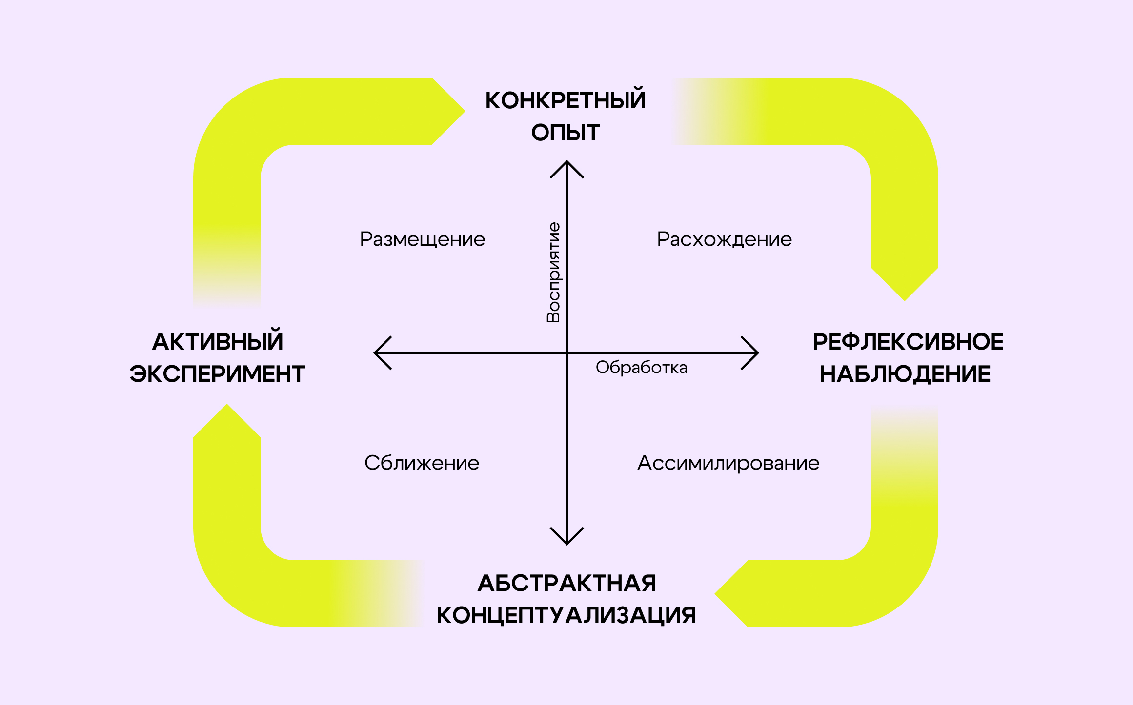 Стиль обучения Колба